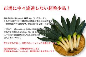 数量限定！】宮ねぎ (約4kg/30～40本) JAしもつけ産※12/9～順次 ...