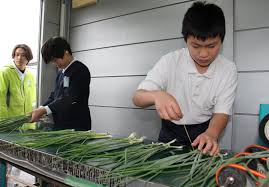 ワケギ栽培続ける尾道市の重井小、県食育推進功労者表彰 11月2日 ...