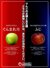 ぐんま名月、ふじ厳選3k箱ご注文予約受付 | 林りんご園｜群馬県 ...