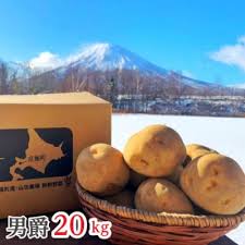 北海道産じゃがいも〈男爵〉20kg[京極町]山田農場[No.5225-0120 ...