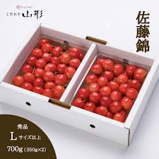 山形県天童産 さくらんぼ 佐藤錦 700g 6月中旬以降発送 ...