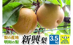 梨（新興）3.5kg - 群馬県明和町｜ふるさとチョイス - ふるさと ...