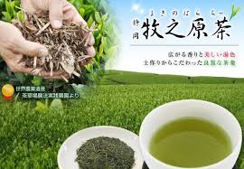 2024年度産 お茶 牧之原茶100g×2本 静岡茶 煎茶 牧の原茶 静岡の ...