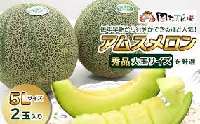 周ちゃん広場より直送 周桑産アムスメロン（秀品） 厳選大玉 ...
