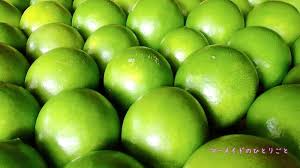 小笠原のレモンは緑色でまんまる、香り豊かな「島レモン ...