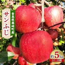 青森県藤崎町産りんご 完熟サンふじ 家庭用 約5kg | 青森県藤崎 ...