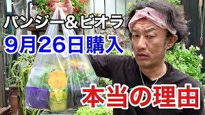 習志野にんじん百面相 - YouTube