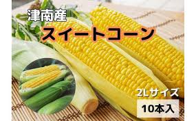 新潟県 津南町産】朝取りスイートコーン 2Lサイズ 10本（1本約 ...