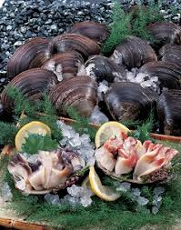 苫小牧市の貝」ホッキ貝について｜北海道苫小牧市