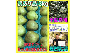 西洋梨（ラ・フランス）3kg ご家庭用 0102-2403 - 山形県上山 ...