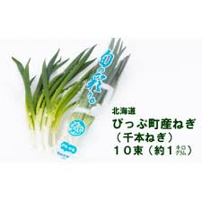 比布町産ねぎ(千本ねぎ)「旬の彩り」10束 | 北海道比布町 ...