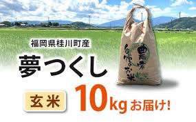 福岡県桂川町産夢つくし 玄米10kg ▽夢つくし 福岡 玄米 米 コメ ...