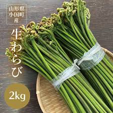 楽天市場】わらび 2kg 山形県小国町産 天然山菜 生ワラビ あく ...