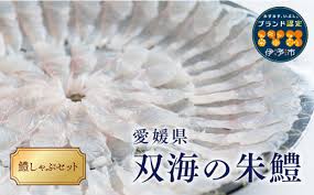 鱧 冷凍 鱧しゃぶセット 鍋 3～4人前 伊予市 愛媛県産 国産 ...