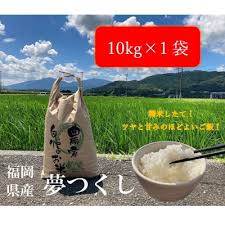 令和5年産福岡県桂川町産夢つくし 約10kg | 福岡県桂川町 ...