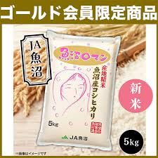 ゴールド会員限定】 JA魚沼 魚沼産コシヒカリ 「魚沼ロマン ...