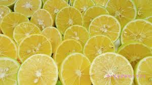 小笠原のレモンは緑色でまんまる、香り豊かな「島レモン ...