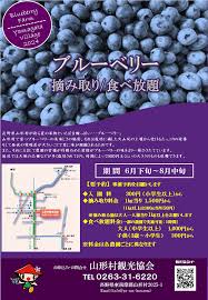ブルーベリー収穫のご案内 | 山形村新着情報