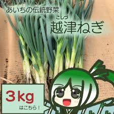 越津ねぎ 3kg | 愛知県江南市 | ふるさと納税サイト「さとふる」