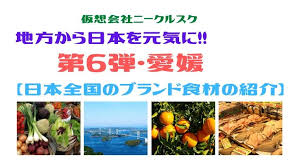 日本全国のブランド食材の紹介】第6弾・愛媛編 | 稼ぎを創造 ...