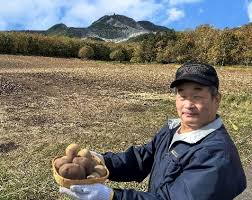 弟子屈町の特産品をご紹介します～じゃがいも～ | 楽しむ摩周湖 ...