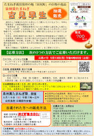 令和6年度『泉州黄たまねぎ祭』及び『吉見早生抽選販売』の ...