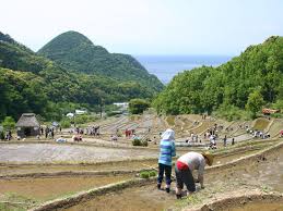 石部赤根田村百笑の里（賀茂郡松崎町） | ふじのくに美しく品格 ...