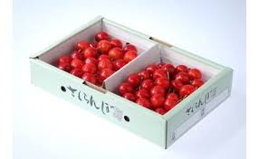 07-05-003 さくらんぼ(佐藤錦)600g - 山形県天童市｜ふるさと ...