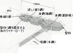 昆布森産 ときしらず(時鮭)