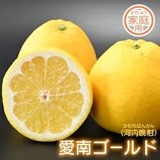 家庭用】愛南フルーツの愛南ゴールド(河内晩柑)10kg | 愛媛県愛 ...