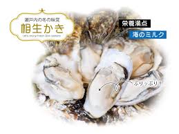 相生牡蠣 | 相生市観光協会公式サイト - Aioi観光なび