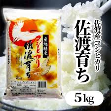 佐渡育ち 佐渡産コシヒカリ 白米(5kg×1袋)