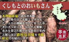 なんたん蜜姫 和歌山県串本産 さつまいも サツマイモ 3kg 送料 ...