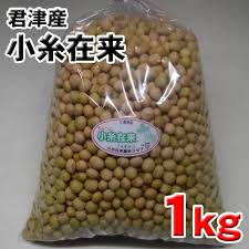 小糸在来(R)大豆1kg（大粒）千葉県君津市産 | みふね農園｜小糸 ...