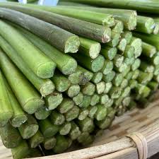 楽天市場】わらび 2kg 山形県小国町産 天然山菜 生ワラビ あく ...