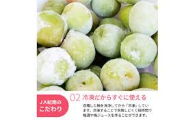 冷凍南高梅 500g / 紀州南高梅 南高梅 青梅 梅 ウメ うめしごと ...