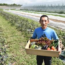 北海道】旬の野菜詰め合わせ[6～8種類]栽培期間中農薬・化学肥料 ...