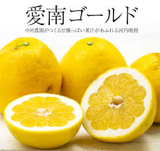 中河農園（愛南ゴールド 河内晩柑） | 安心堂 食のSELECTネット ...
