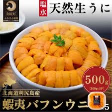 漁師厳選!利尻島産 エゾバフンウニ500g[No5888-0708] | 北海道 ...