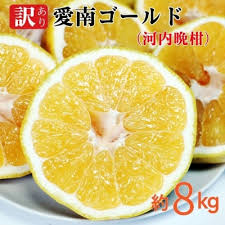 愛南ゴールド ( 河内晩柑 ) 8kg 愛南町 青果市場 なくなり次第 ...