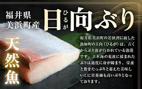 天然！美浜町産「日向ぶり」 ぶりカツ 約450g（約150g × 3袋 ...