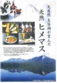 FISH FOOD TIMES 2024年7月ヒメマス 鮮魚コンサルタント樋口知康