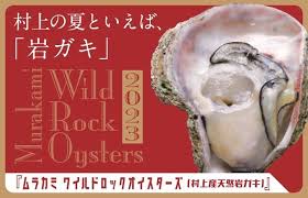 新潟県村上の海が育む夏の妙味！ 天然岩ガキを楽しむイベント ...