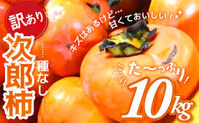 2024年発送】数量限定《 訳あり 》10㎏ 次郎柿 たねなし 柿 かき ...