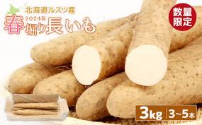 ルスツ産春掘り長いも3kg ルスツ産秋掘り長いも 春掘り 長いも ...