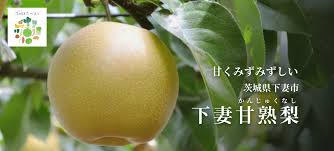 茨城県「下妻甘熟梨」 | フードアルチザンのおすすめ | フード ...