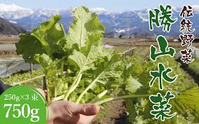 伝統野菜「勝山水菜」 250g×3束 [A-065001] - 福井県勝山市 ...