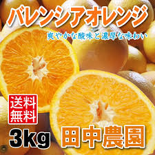 送料無料 生産量日本一！ バレンシアオレンジ 約3kg｜田中農園 ...